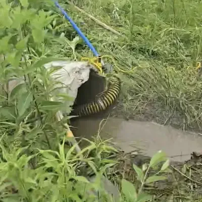 Clearing out a stormwater culvert